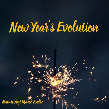 New Year's Evolution | Boomplay Music