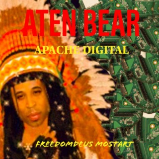 ATEN BEAR APACHE DIGITAL