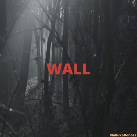 Wall | Boomplay Music
