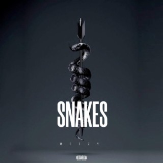 Meezy - Snakes