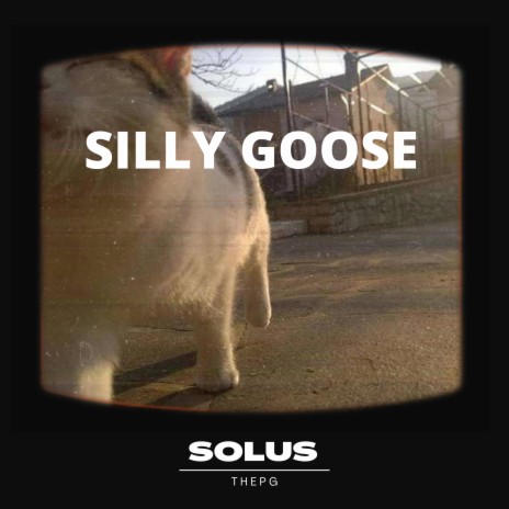 Silly Goose | Boomplay Music