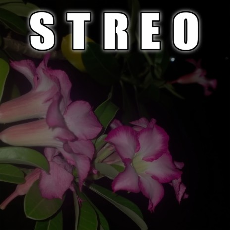 Streo (Remix) | Boomplay Music