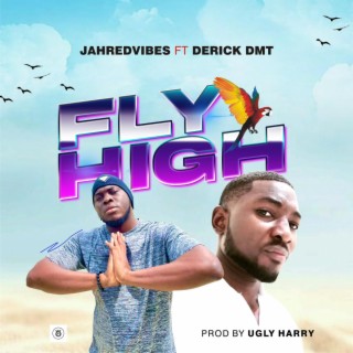 FLY HIGH lyrics | Boomplay Music