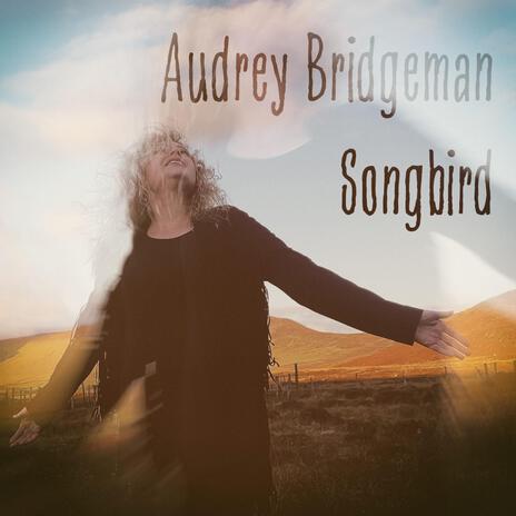 Songbird | Boomplay Music