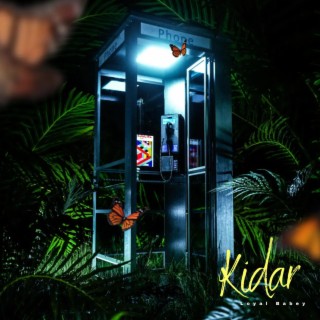 Kidar