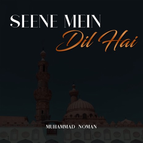 Seene Mein Dil Hai | Boomplay Music