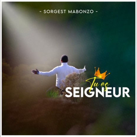 Tu es Seigneur | Boomplay Music