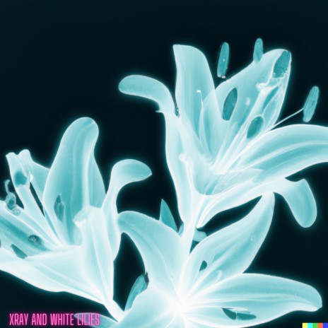 X-ray'd | Boomplay Music