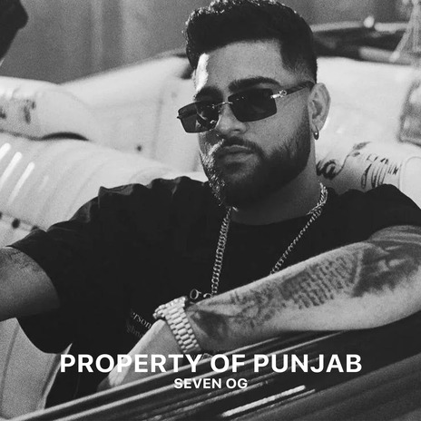 PROPERTY OF PUNJAB | Boomplay Music