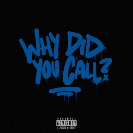 WHY DID YOU CALL | Boomplay Music