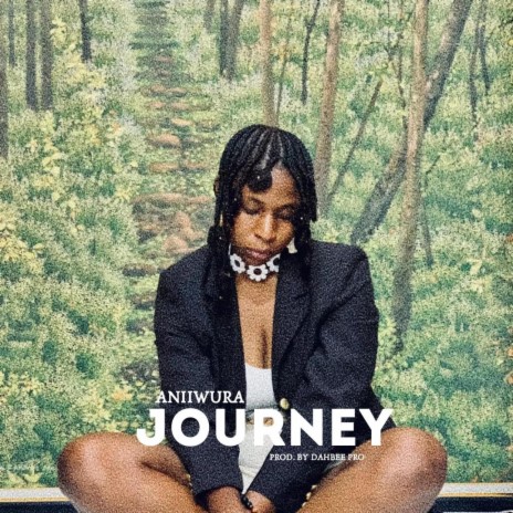 JOURNEY | Boomplay Music