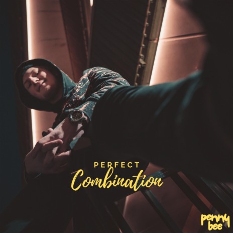 Perfect Combination | Boomplay Music
