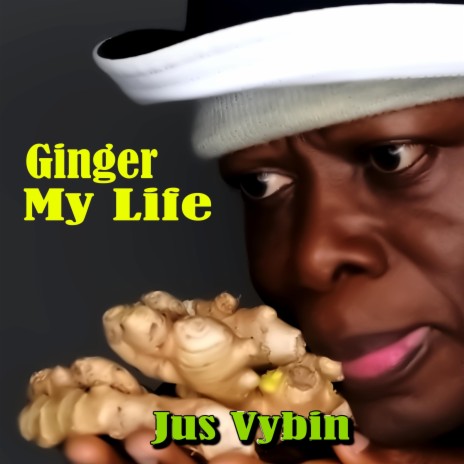 Ginger My Life