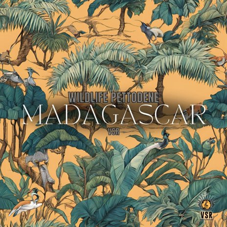 Madagascar | Boomplay Music