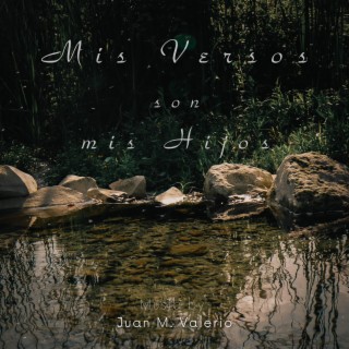 Mis Versos son mis Hijos (Original Motion Picture Soundtrack)