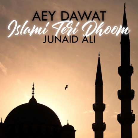Aey Dawat Islami Teri Dhoom | Boomplay Music