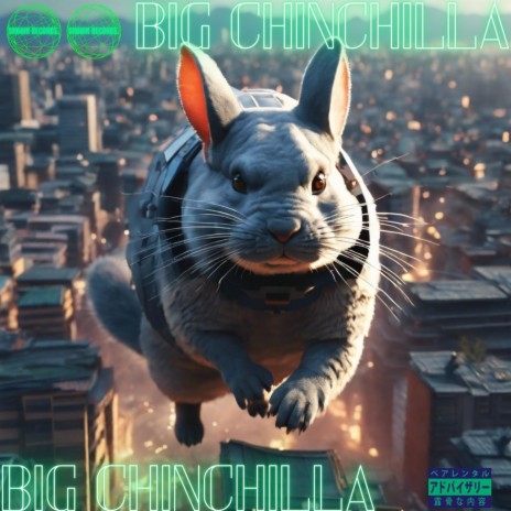 BIG CHINCHILLA | Boomplay Music