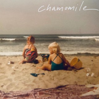 Chamomile lyrics | Boomplay Music