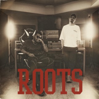 Roots ft. Dronark lyrics | Boomplay Music
