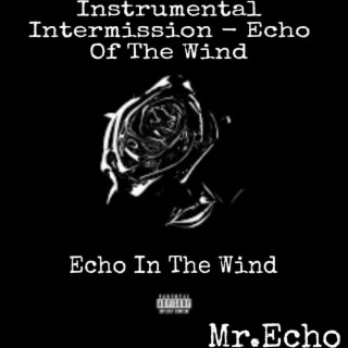 Echo Of The Wind (Instrumental Intermission)