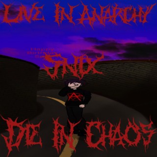 Live In Anarchy Die In Chaos