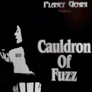 Cauldron of Fuzz