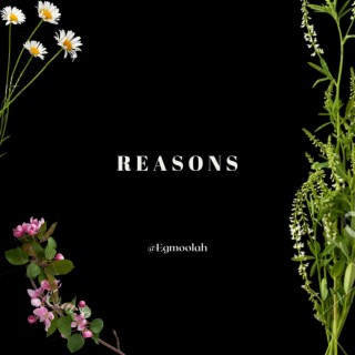 Reasons ft. Travo & Reckmond lyrics | Boomplay Music