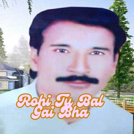 Rohi Ty Bal Gai Bha | Boomplay Music