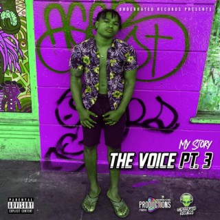 The Voice Pt. 3