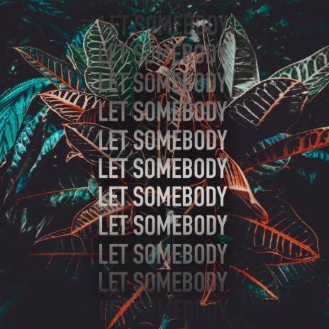 Let Somebody (Blanche Beach Edit)