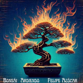 Bonsai Ardiendo