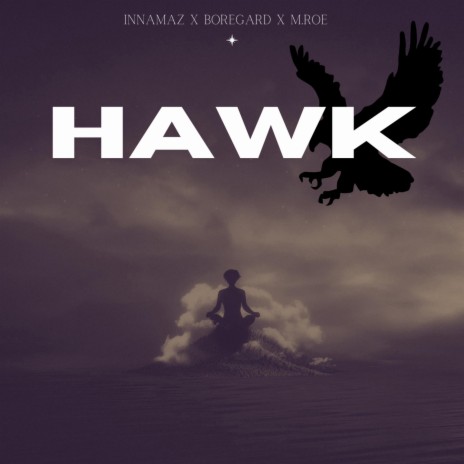 Hawk ft. Boregard. & M.Roe | Boomplay Music