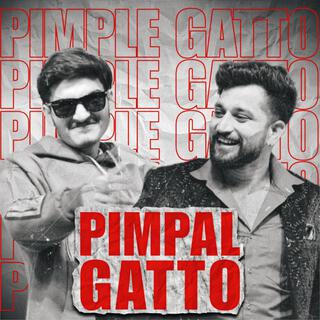 Pimpal Gatto