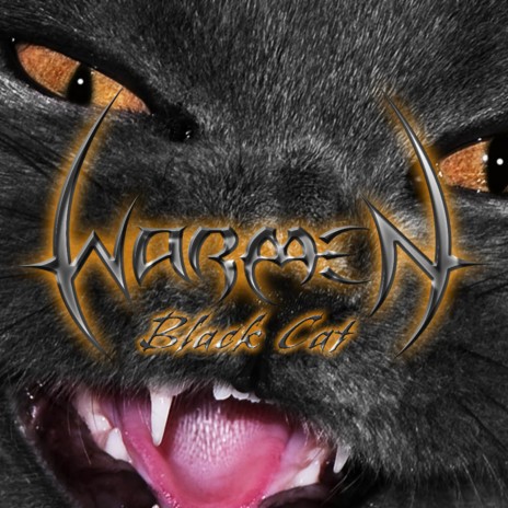 Black Cat | Boomplay Music