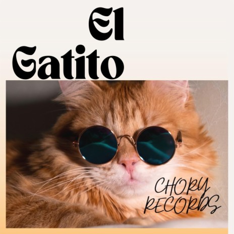gatito | Boomplay Music
