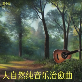 大自然纯音乐治愈曲