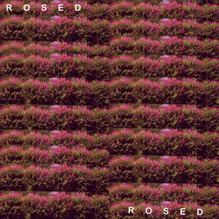 Rosed lyrics | Boomplay Music