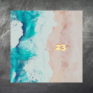 23