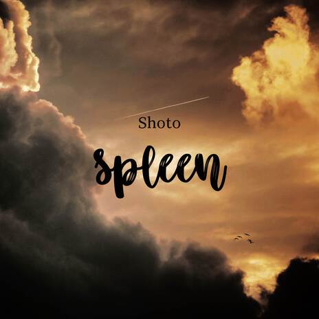 Spleen | Boomplay Music