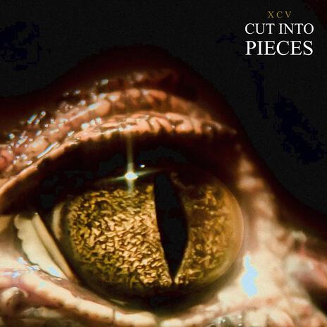 cut into pieces | Boomplay Music