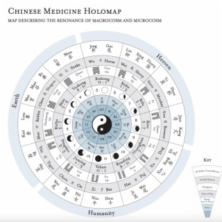 Chinese Medicine (term 1)