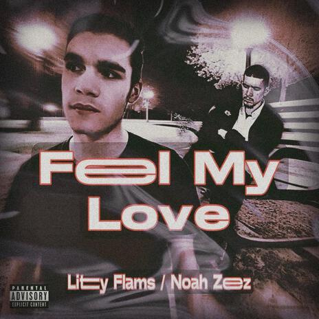 Feel My Love ft. Noah Zeez | Boomplay Music