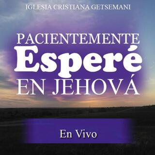 Pacientemente Esperé En Jehová