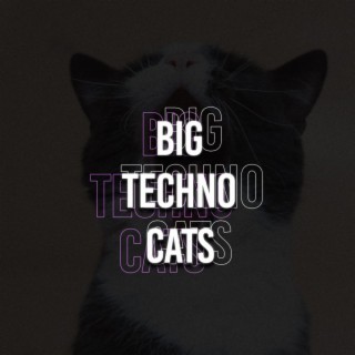 Big Techno Cats