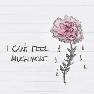 I Can't Feel Much More