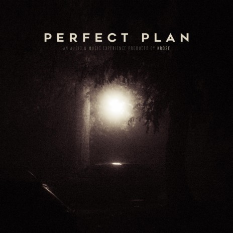 Perfect Plan | Boomplay Music