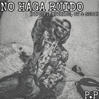 NO HAGA RUIDO