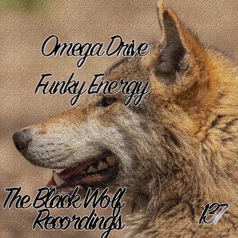 Funky Energy (Original Mix) | Boomplay Music