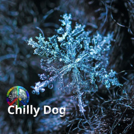 Chilly Dog | Boomplay Music