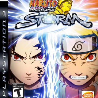 ninja storm